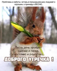 IMG_20200207_061603_024.webp