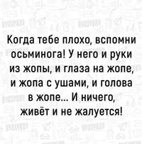 IMG_20200207_161224.webp