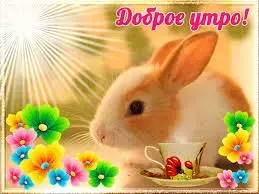images (2).webp