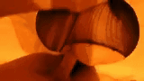 image.gif