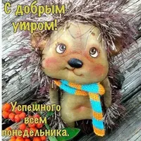 IMG_20200210_053343_178.webp