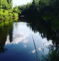 речка.webp