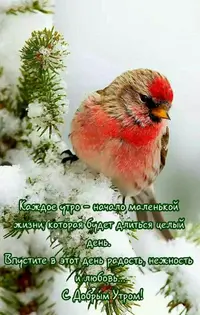 4aee242f15560f5ee83553cede8d9f7a.webp