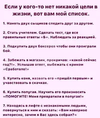 4.webp