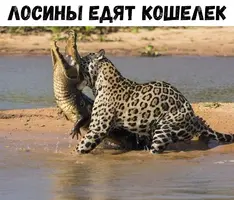 IMG_20200212_200157.webp
