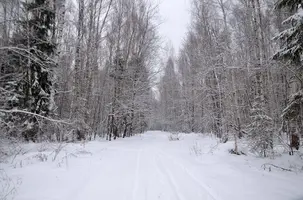 _DSC1827.webp