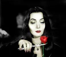 image (25)-552x476.webp