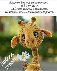 IMG_20200214_061105_765.webp