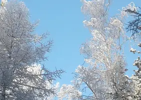 20180102_133500-1.webp