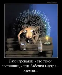 razocharovanie-hudshii-iz-variantov-picture-big.webp