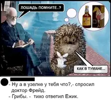 p-PA8APZWbU.webp