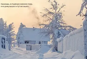 image (8).webp