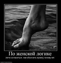 770569_po-zhenskoj-logike.webp