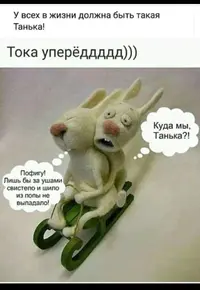 57A043E9-058E-4E6A-B5ED-E74C736DEA3D.webp