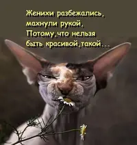 B46B98FE-DB0E-4A93-9EED-BE43AA3C0F45.webp