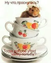 41f128883ea3e4991d9e7ec25054c47e.webp