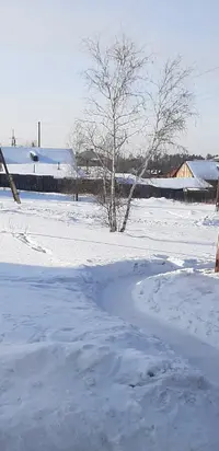 20200218_144802.webp