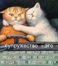 IMG-20200212-WA0004.webp
