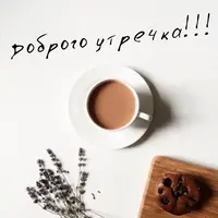a79dbc35e7909a302af67efb501a18e5--nature-caffeine.webp