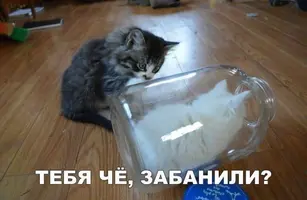IMG_20200220_151542.webp