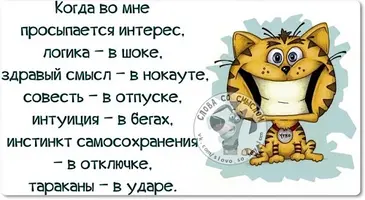 C4176F28-3283-40AF-BDB7-054B453DE73D.webp
