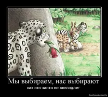 F2DF336E-E827-4B6C-98B7-8166902954E1.webp