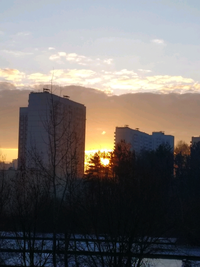 1582367731589.webp