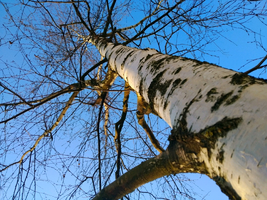 1582368032398.webp