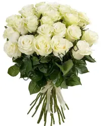 1999090.webp