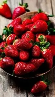 46FF1FFB-10B7-4190-BE71-E370671B5864.webp
