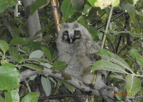 20200224_131021.webp