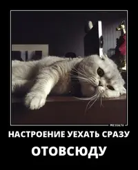 6052a7371f24baf0cc76c335251a065d-nastroenie.webp