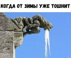 zima.webp
