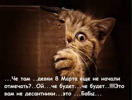 IMG_20200226_185503.webp