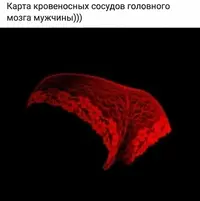 13734578.webp