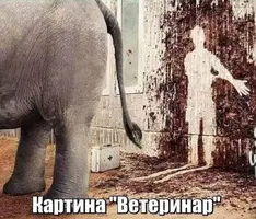 260244208.p.600.600.0.webp