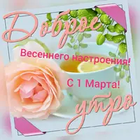 IMG_20200301_074514_304.webp