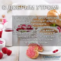 IMG_20200302_070531_857.webp