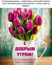 IMG_20200303_055029_539.webp