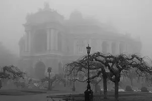4fb62da5158c02683400095d_412x500.webp