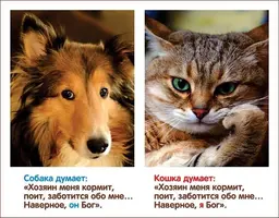 кошка.webp