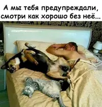 IMG_20200304_190830.webp