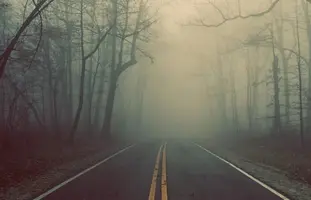 ytbp.webp