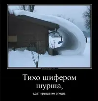 rhs.webp