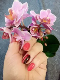 Screenshot_20200306-090920~2.webp