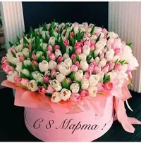 D76C3183-AA8A-4554-AAFC-16C01F26AC1E.webp