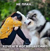 unnamed (2).webp