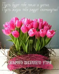 IMG_20200309_070741_933.webp