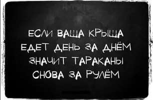 000000000.webp