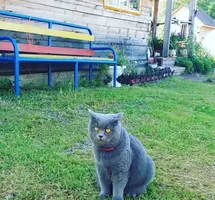 Мусяндра.webp